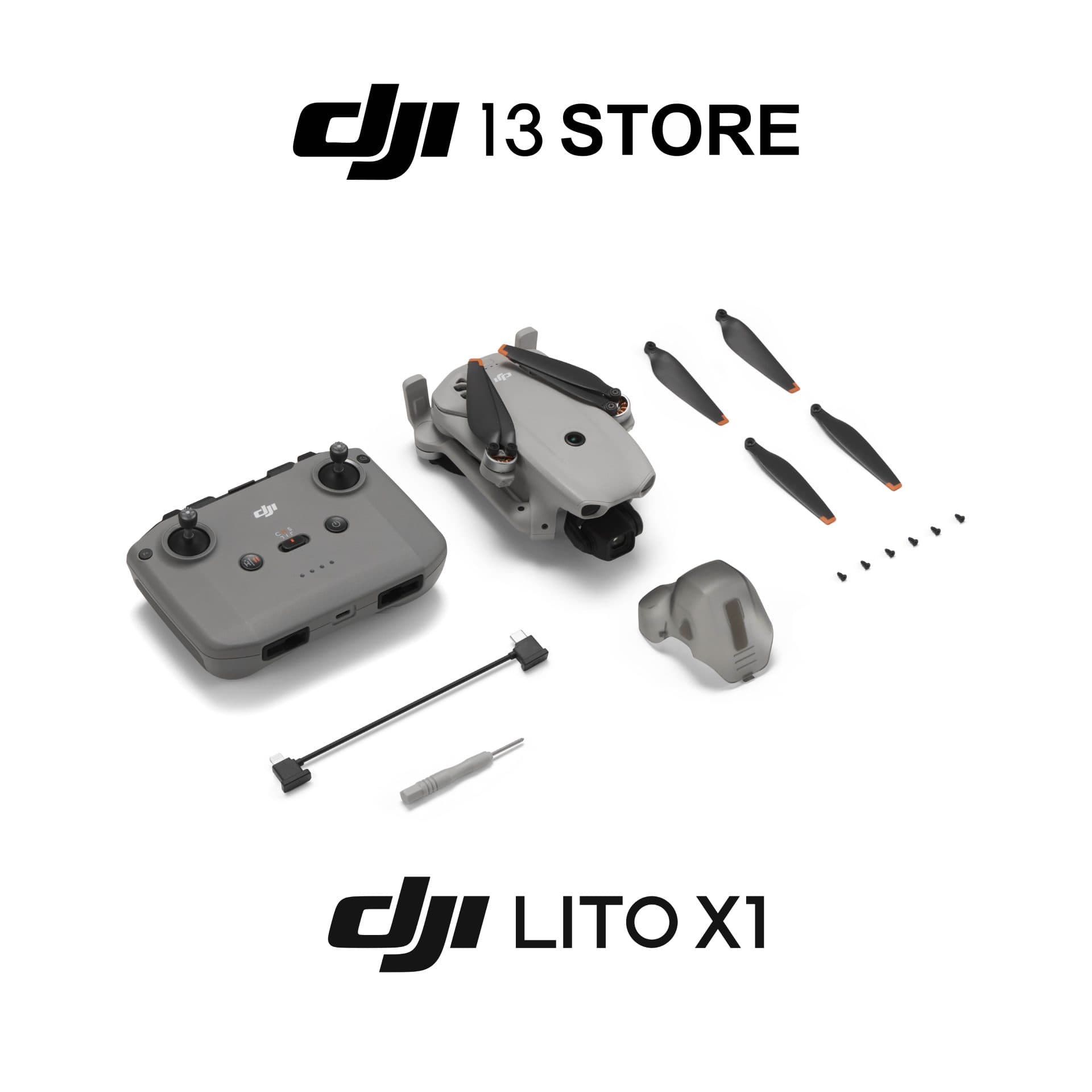 DJI Lito X1